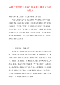 乡镇“两不愁三保障”回头看大排查工作总结范文
