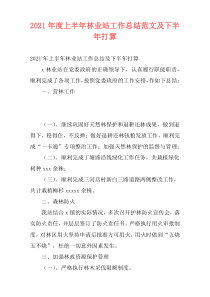 2021年度上半年林业站工作总结范文及下半年打算
