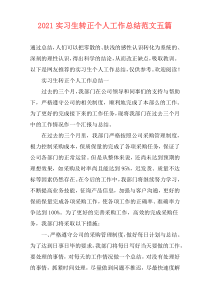 2021实习生转正个人工作总结范文五篇_1