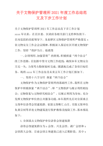 关于文物保护管理所2021年度工作总结范文及下步工作计划
