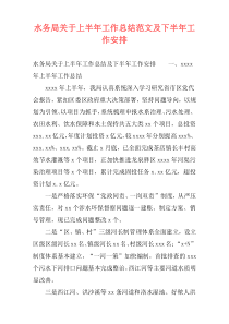 水务局关于上半年工作总结范文及下半年工作安排