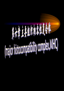 第六章主要组织相容性复合体(定稿)