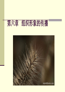第六章组织形象的传播