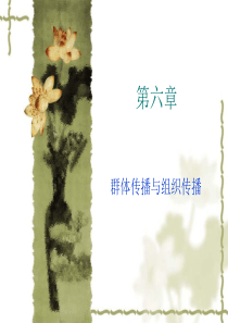第六章群体传播与组织传播