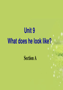 Unit9-wha-does-he-look-like-全单元课件