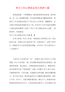 审计工作心得体会范文范例5篇