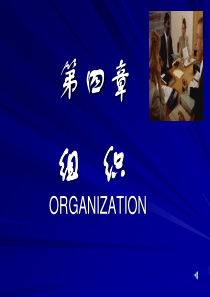 第四章 组织