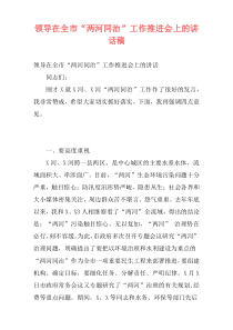 领导在全市“两河同治”工作推进会上的讲话稿