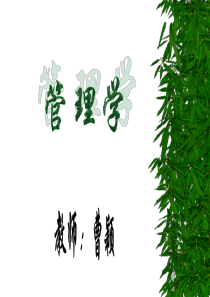 管理学组织设计