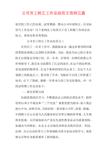 公司员工转正工作总结范文范例五篇