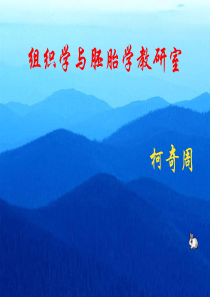 组织与胚胎学神经组织