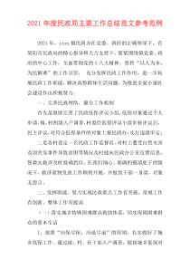 2021年度民政局主要工作总结范文参考范例