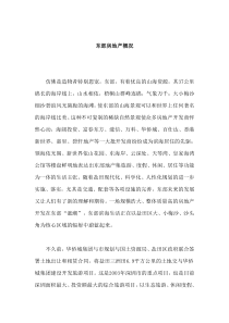 东部房地产概况