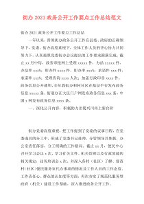 街办2021政务公开工作要点工作总结范文