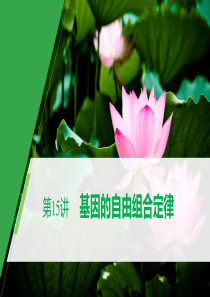 生物高考一轮复习-第五单元-第15讲-基因的自由组合定律