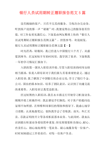 银行人员试用期转正履职报告范文5篇