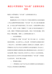 集团公司贯彻落实“回头看”自查情况报告范例
