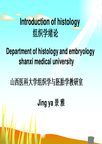 组织学绪论1