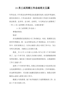 it员工试用期工作总结范文五篇