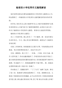 秘密的小学优秀作文随笔解读