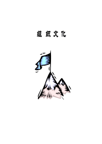 组织文化讲义