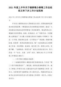 2021年度上半年关于镇禁毒办禁毒工作总结范文和下步工作计划范例