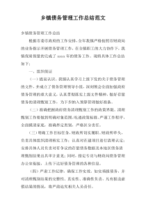 乡镇债务管理工作总结范文