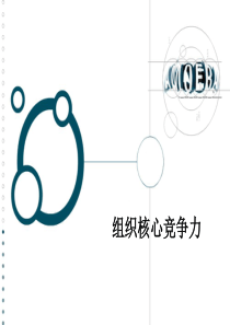 组织核心竞争力