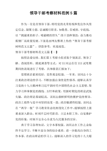 领导干部考察材料范例5篇