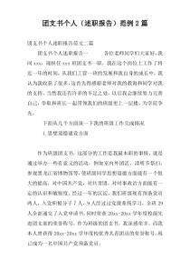 团支书个人（述职报告）范例2篇
