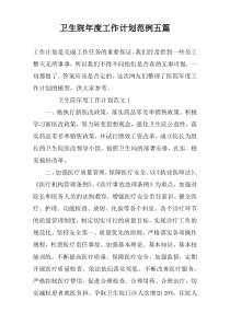 卫生院年度工作计划范例五篇