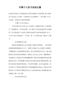 中期个人实习总结五篇