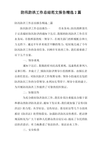 防汛防洪工作总结范文报告精选2篇