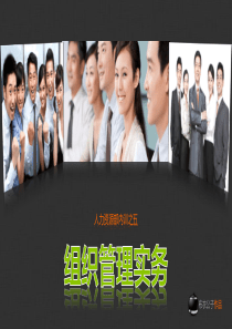 组织管理实务(布衣公子作品)XXXX0111版teliss