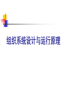 组织系统设计与运行原理