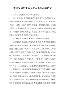 市公安局副支队长个人工作总结范文