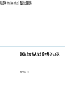 组织结构改造方案的评估与建议(1)