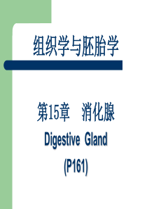 组织胚胎学-消化腺