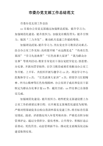 市委办党支部工作总结范文