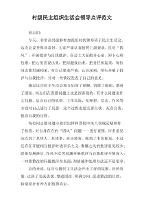 村级民主组织生活会领导点评范文