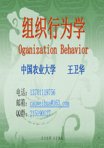 组织行为学(2)