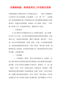 加强高耗能、高排放项目工作的意见范例