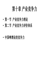 第十章产业竞争力