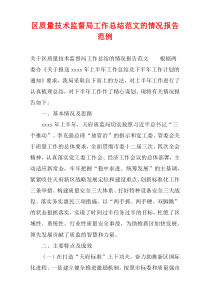 区质量技术监督局工作总结范文情况报告范例