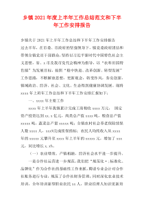乡镇上半年工作总结范文和下半年工作安排计划报告
