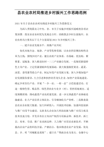 县农业农村局推进乡村振兴工作计划思路2021年范例