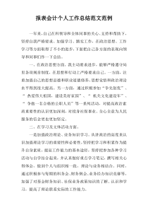 报表会计个人工作总结范文范例