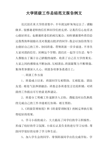 大学班级工作总结范文报告例文