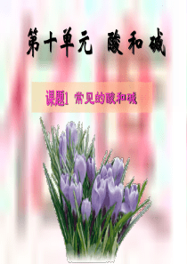 10.1常见的酸和碱