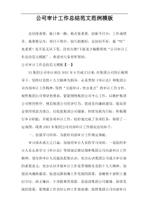 公司审计工作总结范文范例模板